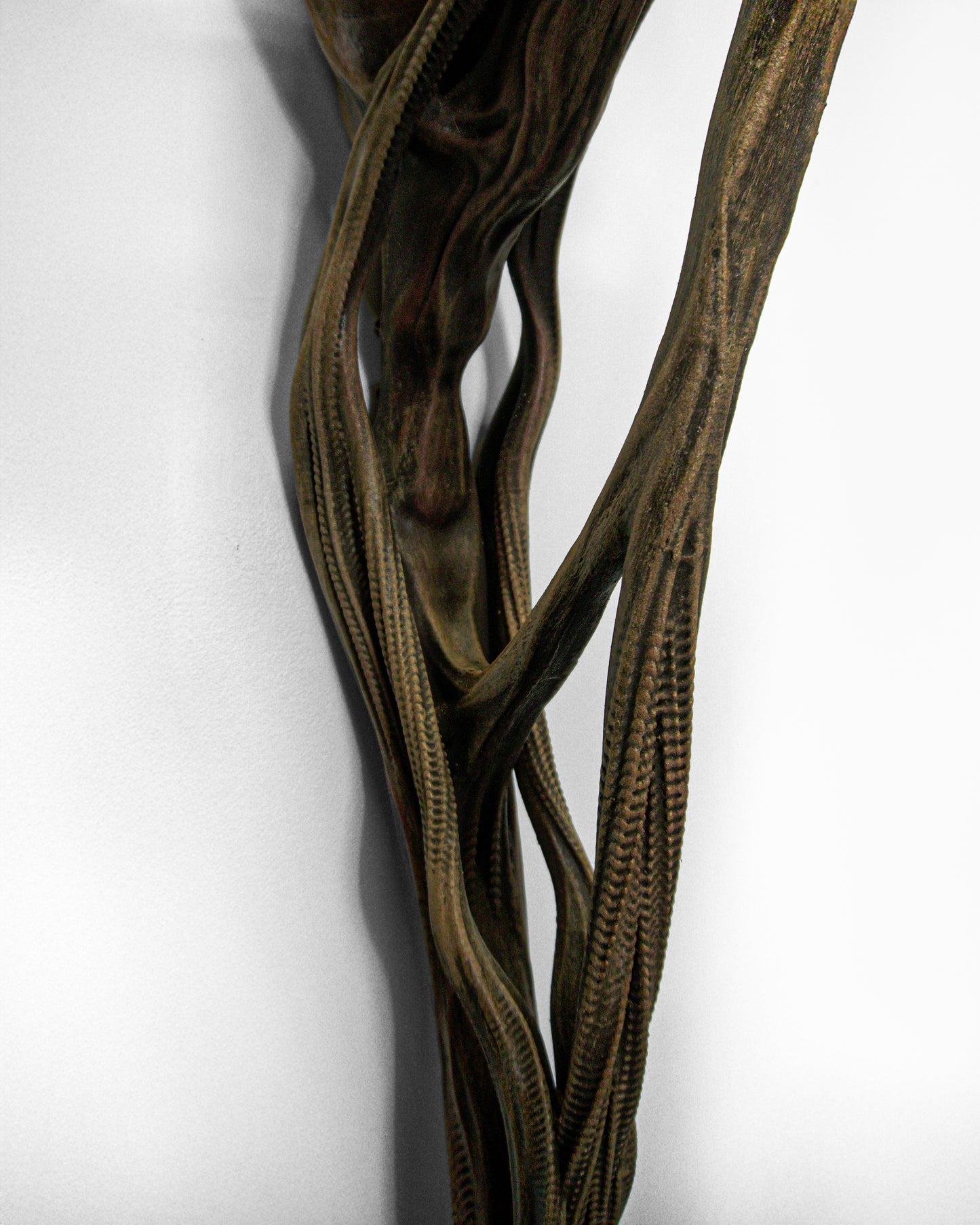 ARC — LAMP