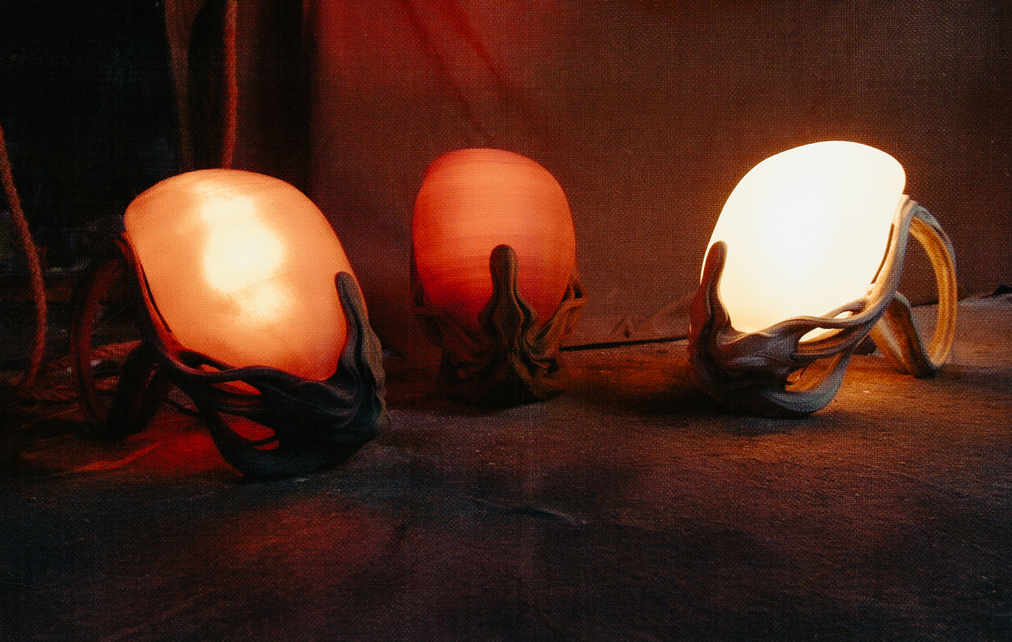 EGG — LAMP
