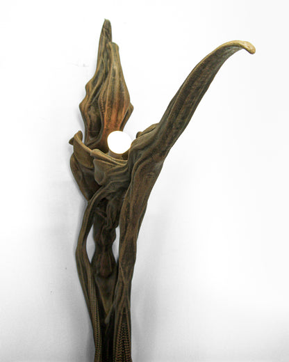ARC — LAMP