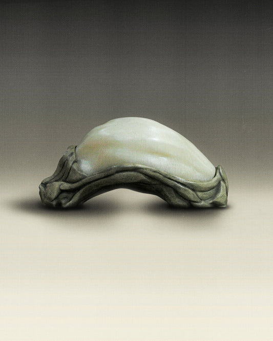REPTILE — LAMP