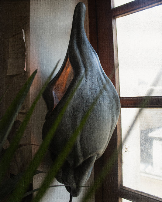 Nocturne — LAMP