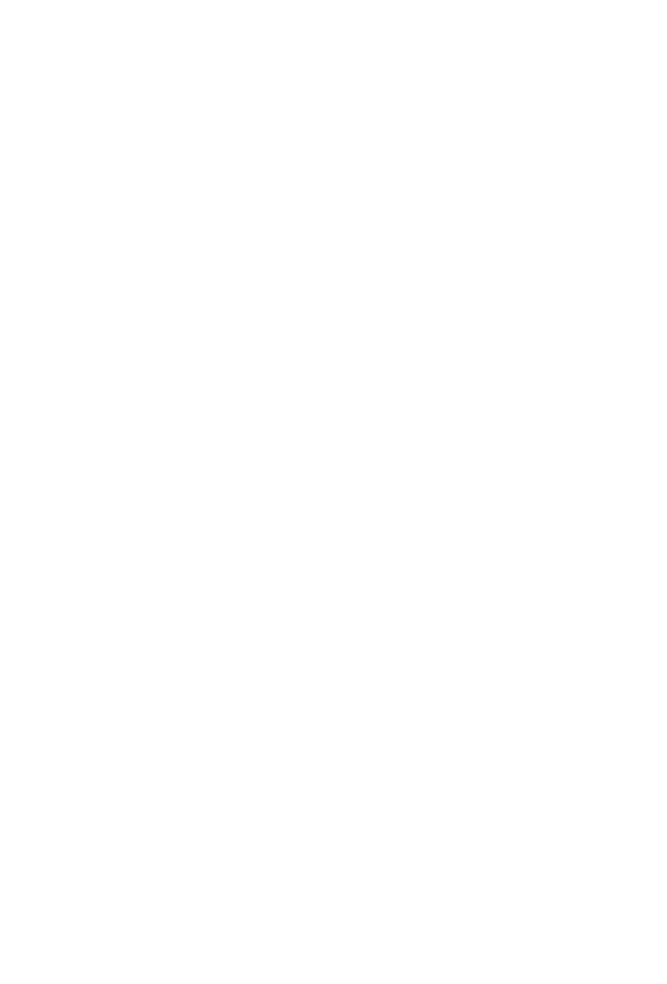 TOTEM